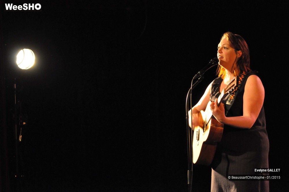 11/48 photos du spectacle Evelyne Gallet 