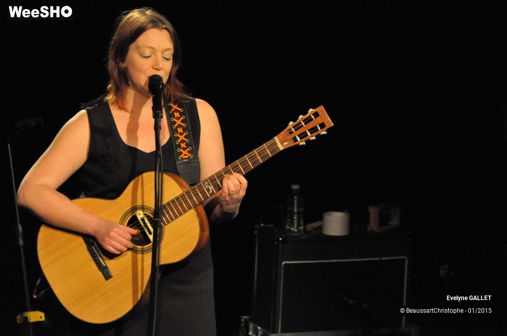 15/48 photos du spectacle Evelyne Gallet 