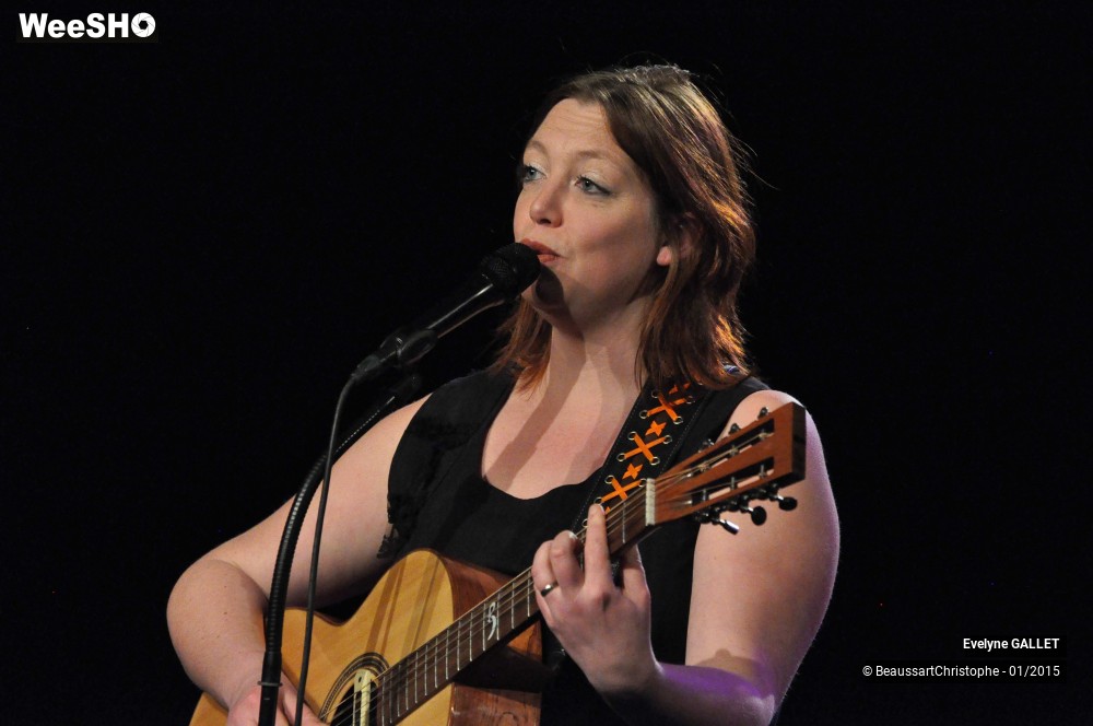 17/48 photos du spectacle Evelyne Gallet 