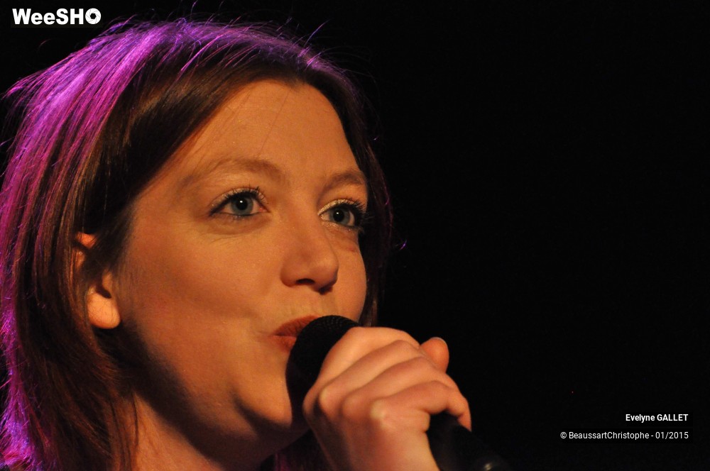 18/48 photos du spectacle Evelyne Gallet 
