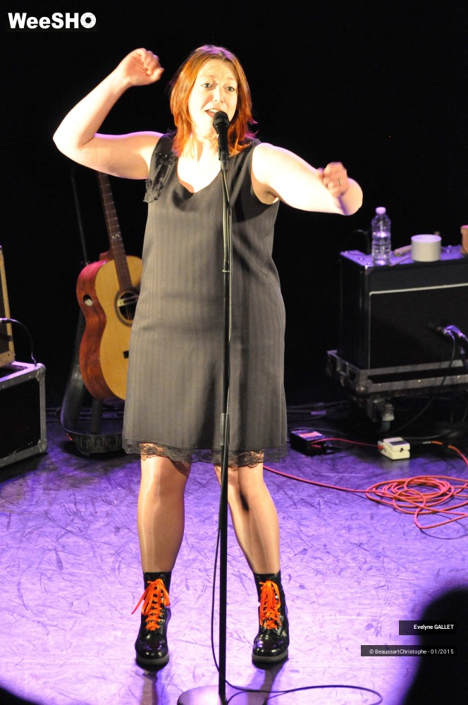 20/48 photos du spectacle Evelyne Gallet 
