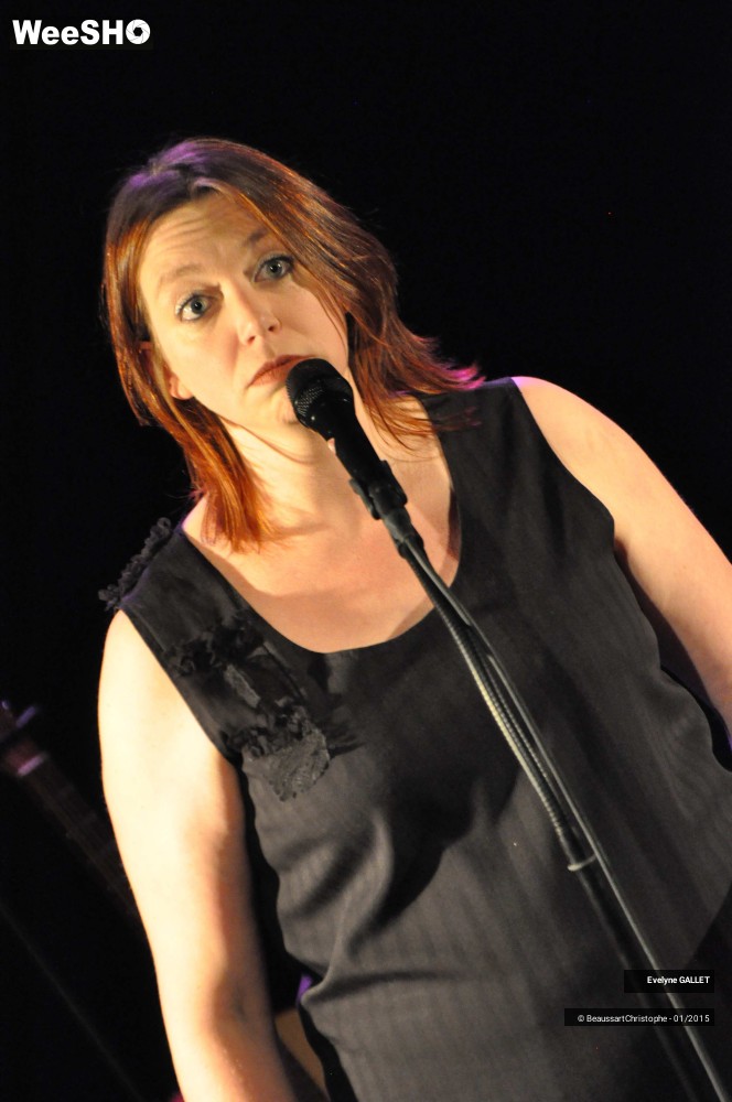 22/48 photos du spectacle Evelyne Gallet 