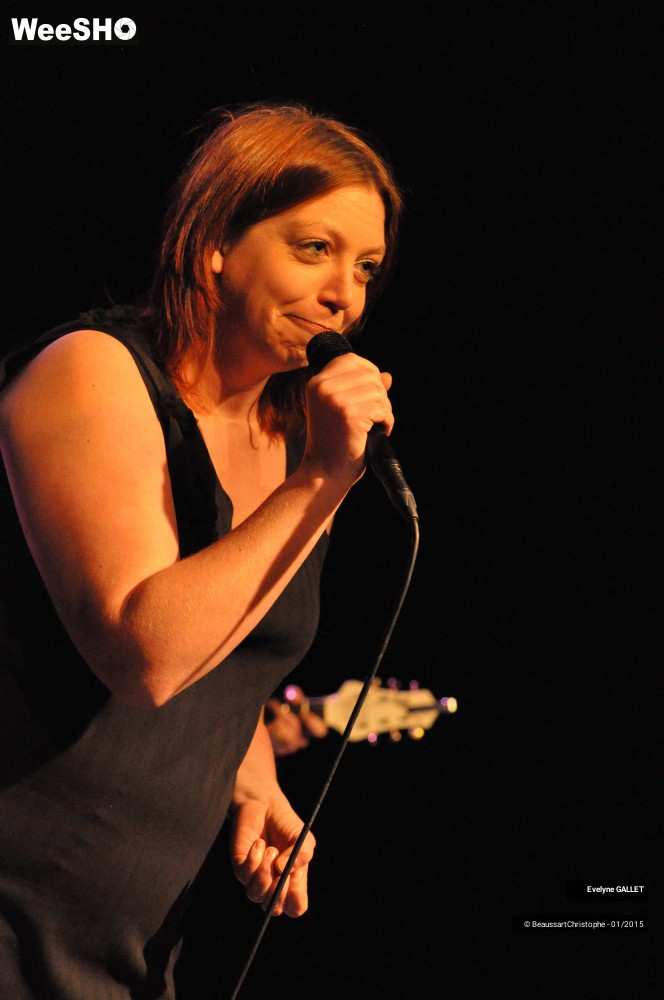28/48 photos du spectacle Evelyne Gallet 