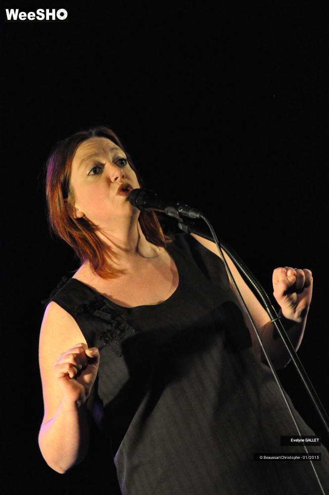 30/48 photos du spectacle Evelyne Gallet 