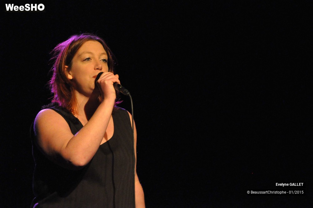 31/48 photos du spectacle Evelyne Gallet 