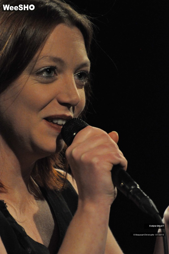 40/48 photos du spectacle Evelyne Gallet 