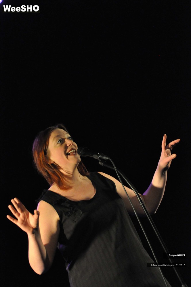 41/48 photos du spectacle Evelyne Gallet 