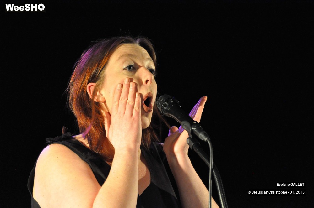 44/48 photos du spectacle Evelyne Gallet 
