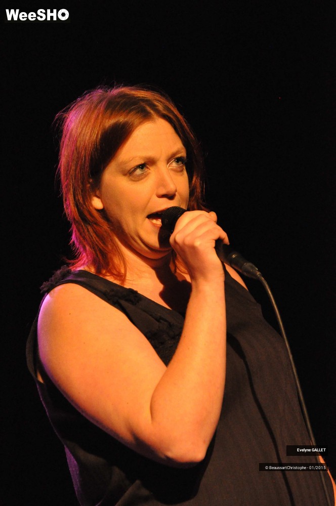 45/48 photos du spectacle Evelyne Gallet 