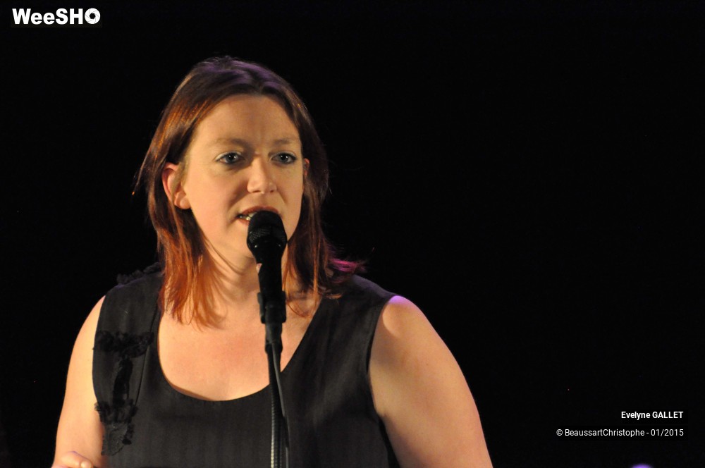 46/48 photos du spectacle Evelyne Gallet 