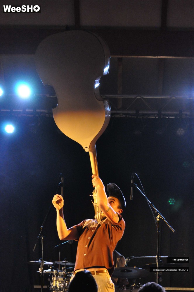4/40 photos du spectacle The Spunyboys