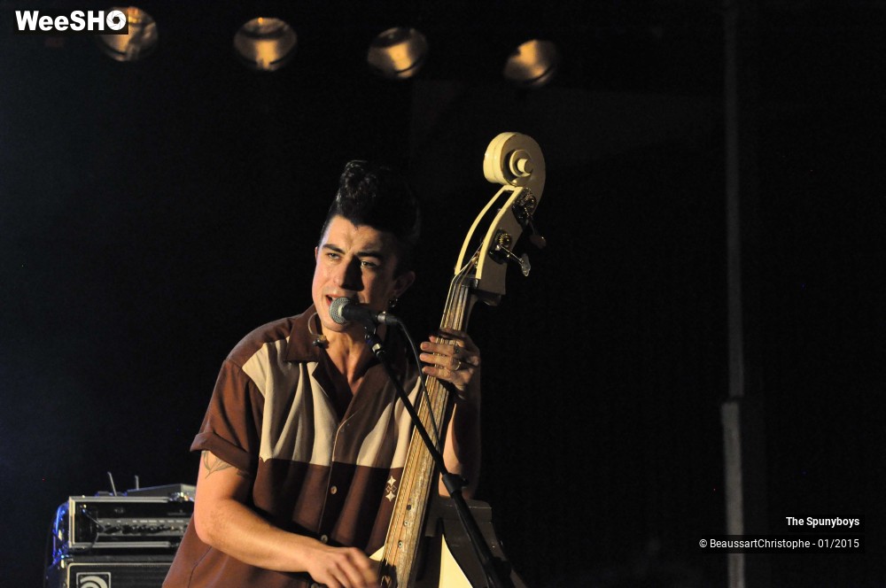 12/40 photos du spectacle The Spunyboys