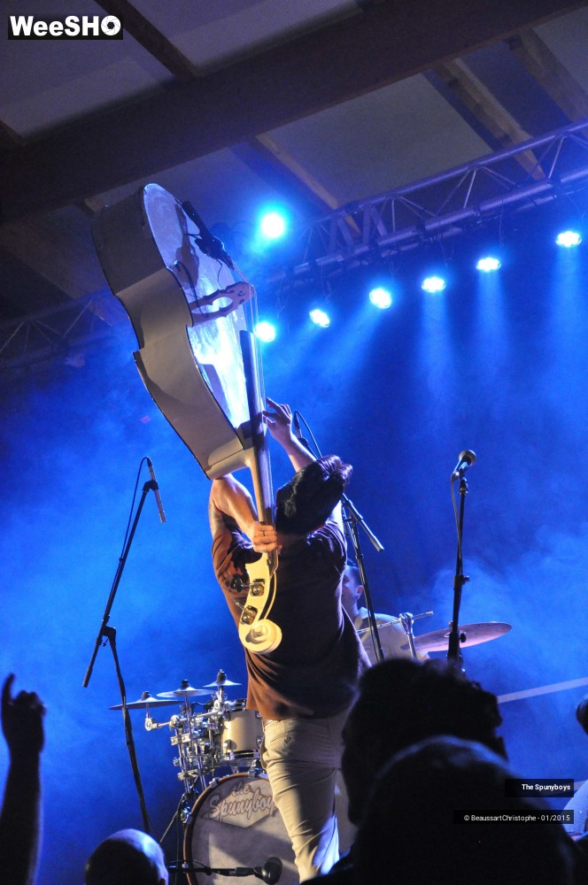 14/40 photos du spectacle The Spunyboys