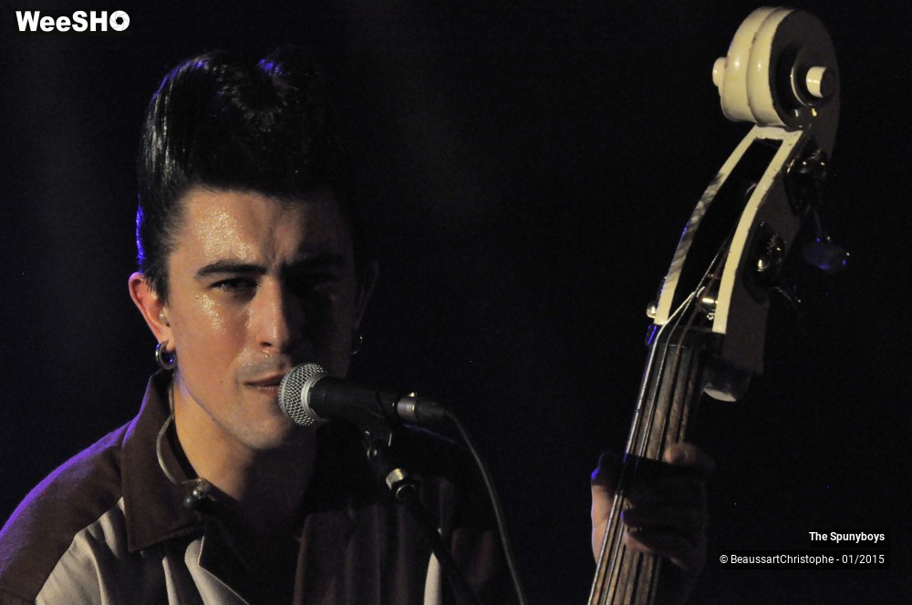 15/40 photos du spectacle The Spunyboys
