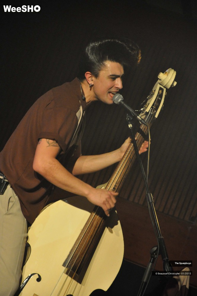 16/40 photos du spectacle The Spunyboys