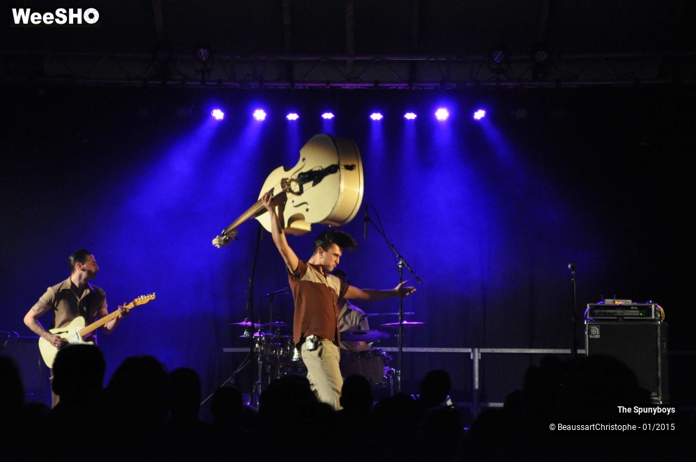 18/40 photos du spectacle The Spunyboys