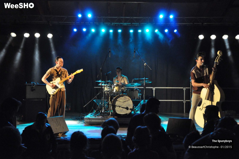 23/40 photos du spectacle The Spunyboys