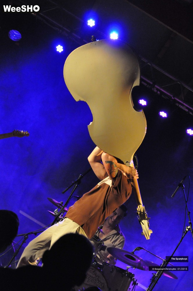 25/40 photos du spectacle The Spunyboys