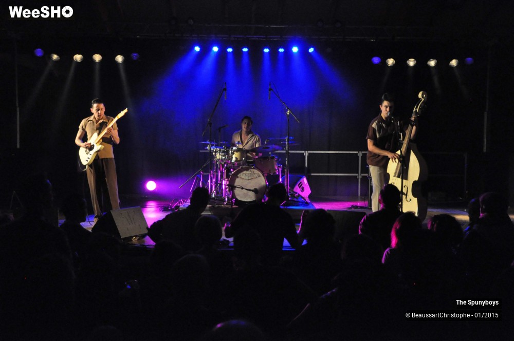 26/40 photos du spectacle The Spunyboys
