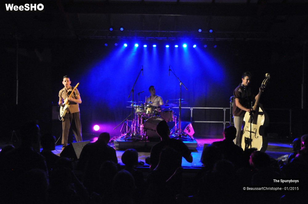 27/40 photos du spectacle The Spunyboys