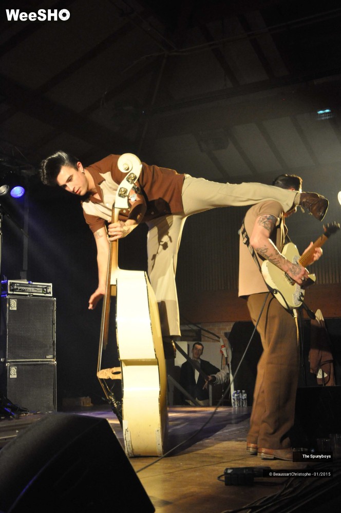32/40 photos du spectacle The Spunyboys