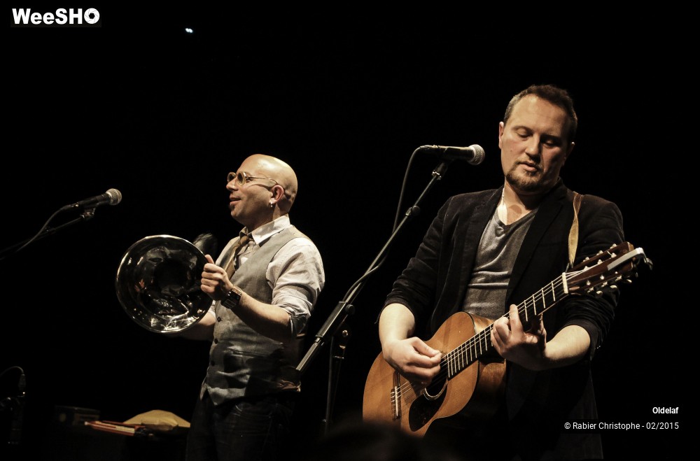 27/50 photos du spectacle Oldelaf et Al
