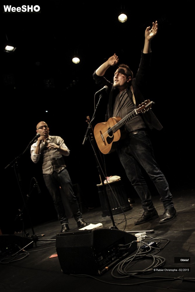 28/50 photos du spectacle Oldelaf et Al