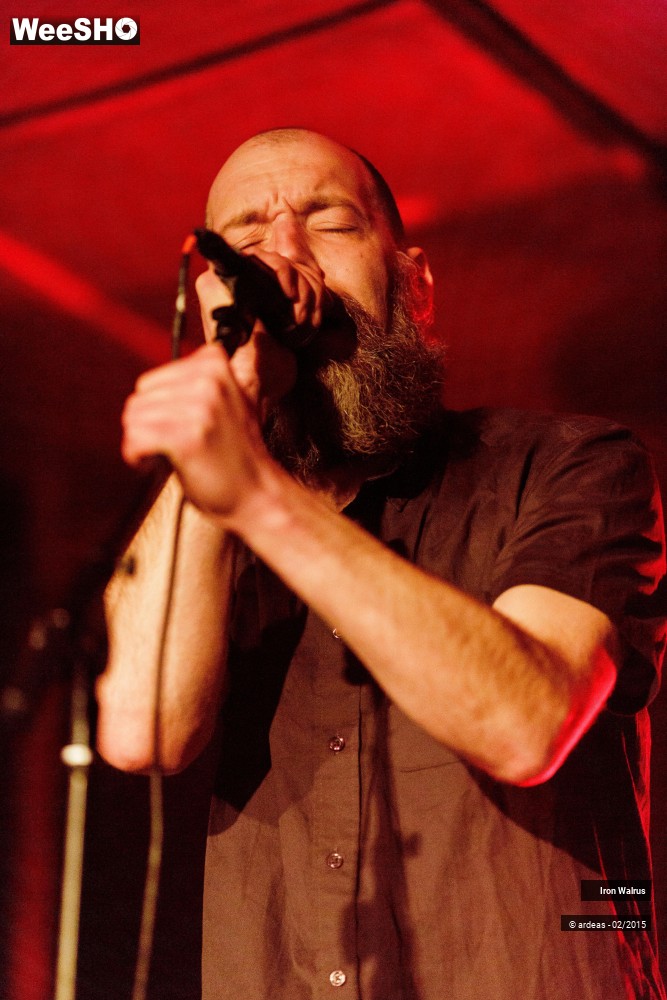 2/24 photos du spectacle Iron Walrus