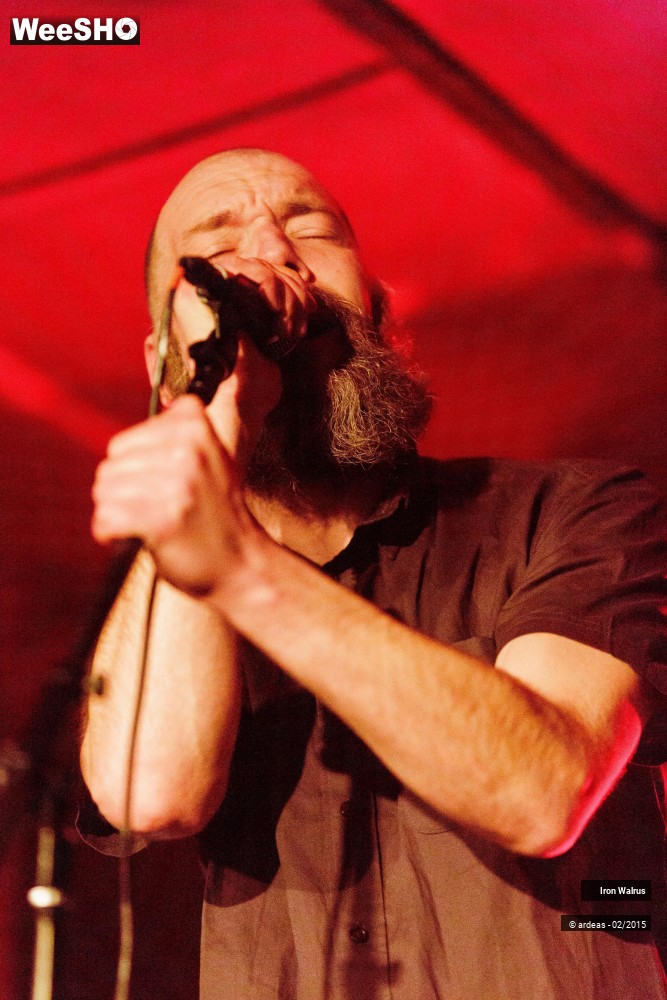 10/24 photos du spectacle Iron Walrus