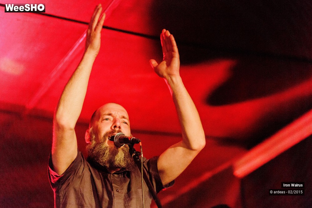 11/24 photos du spectacle Iron Walrus
