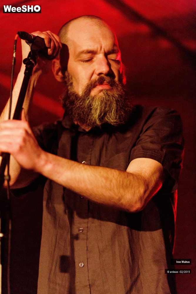 18/24 photos du spectacle Iron Walrus