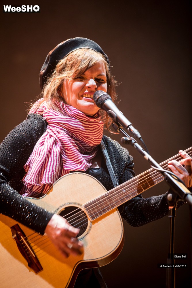 1/34 photos du spectacle Diane Tell