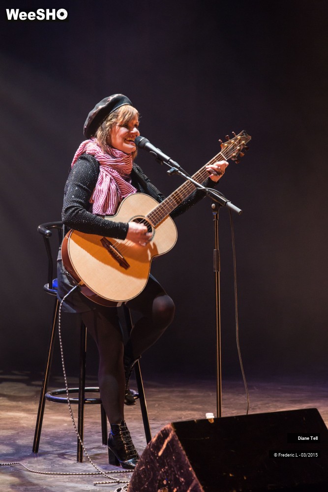 2/34 photos du spectacle Diane Tell