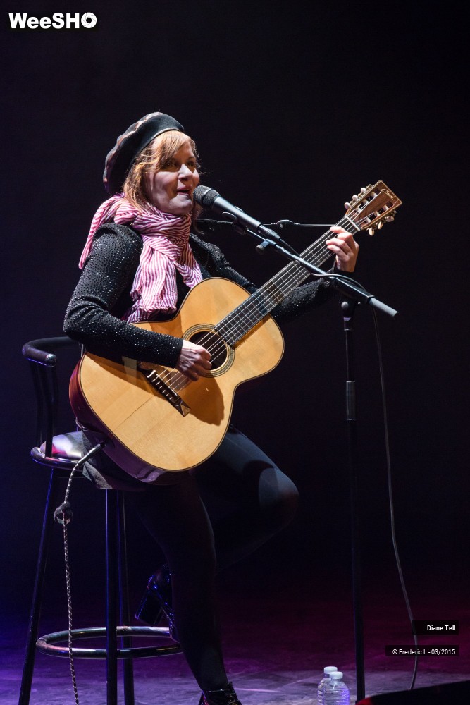 3/34 photos du spectacle Diane Tell