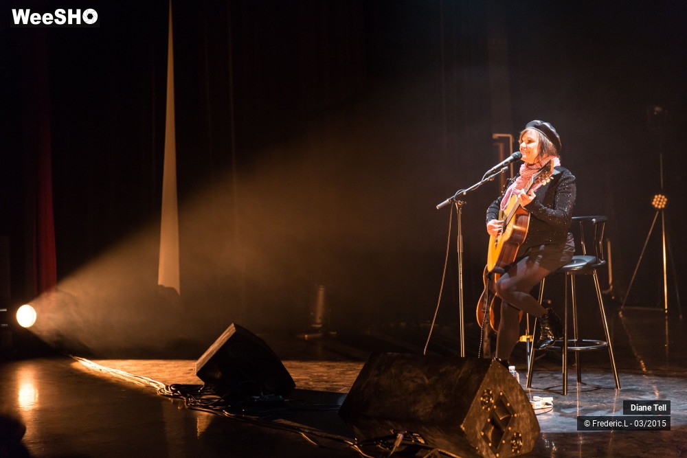 4/34 photos du spectacle Diane Tell