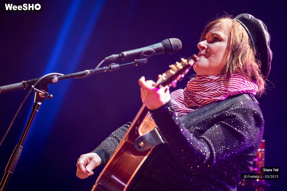 5/34 photos du spectacle Diane Tell
