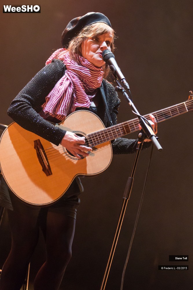 7/34 photos du spectacle Diane Tell