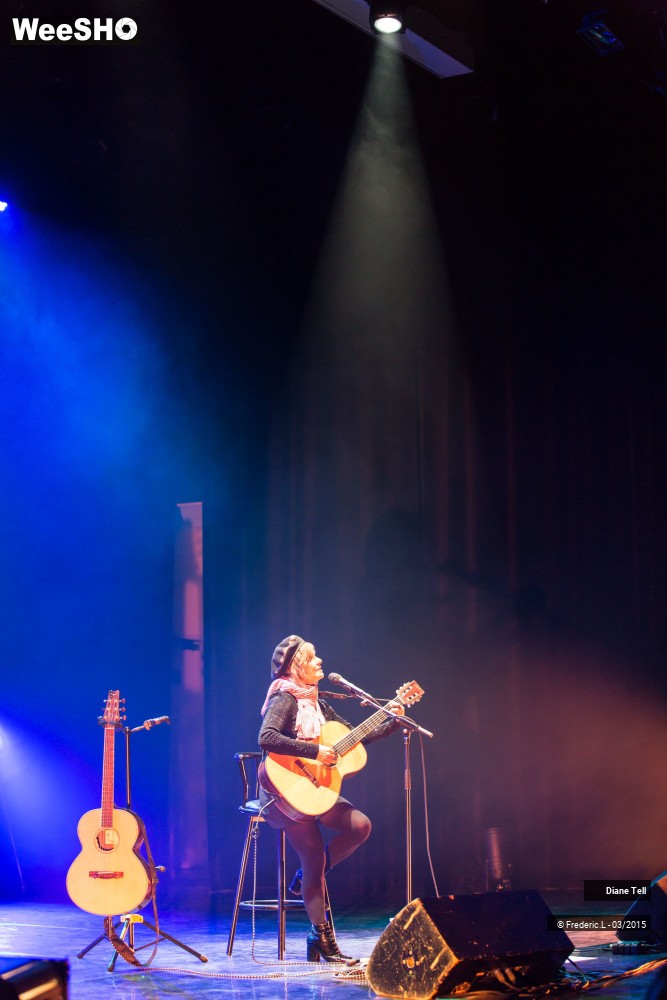 8/34 photos du spectacle Diane Tell