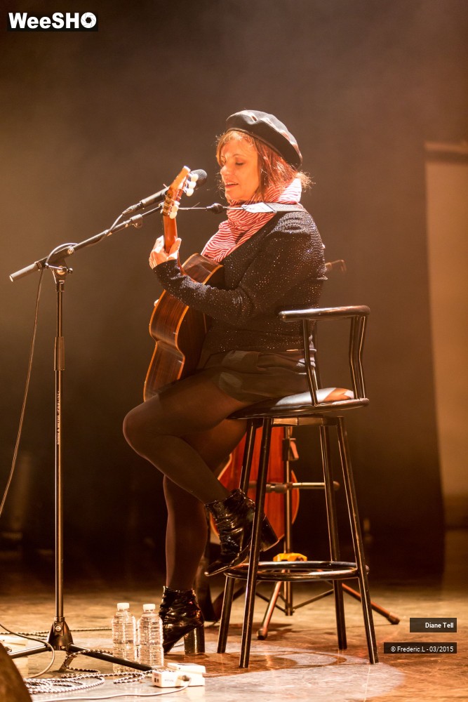10/34 photos du spectacle Diane Tell