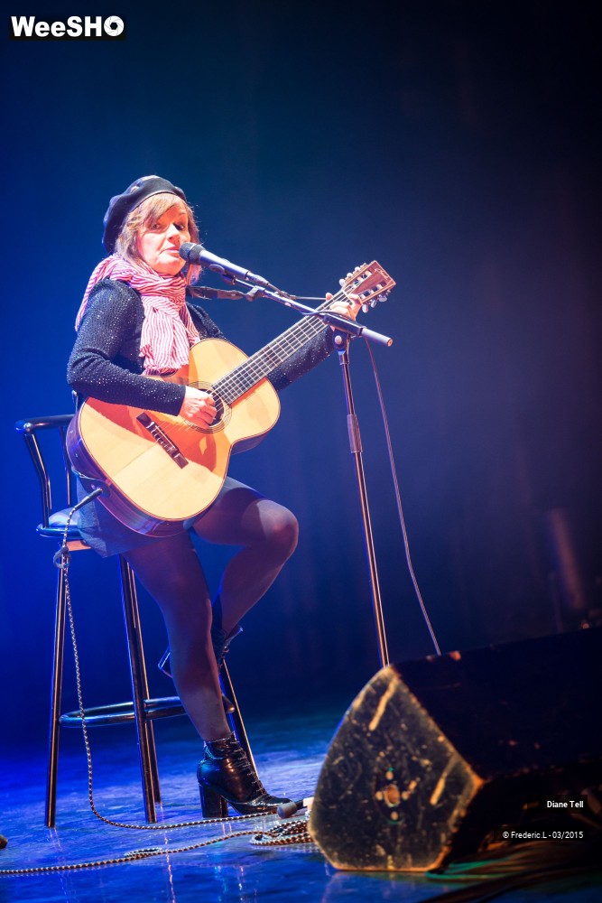 11/34 photos du spectacle Diane Tell