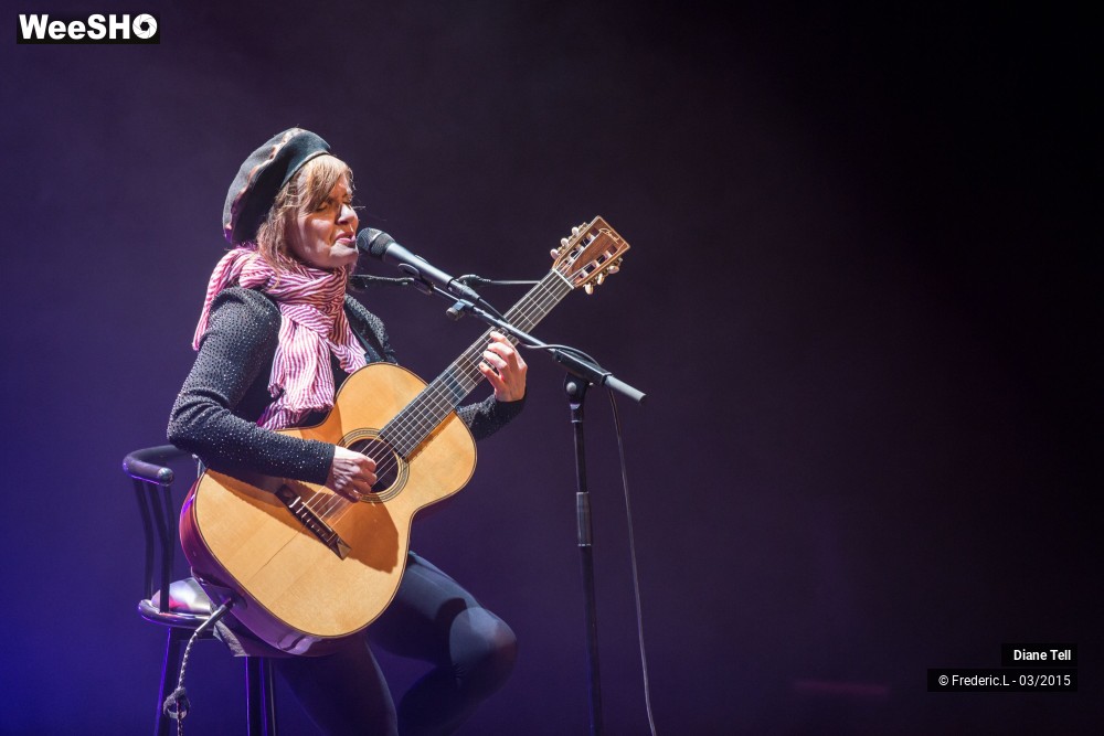 12/34 photos du spectacle Diane Tell