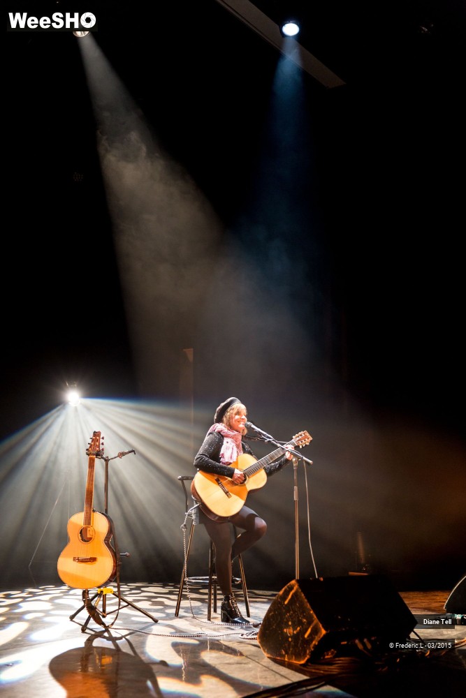 13/34 photos du spectacle Diane Tell