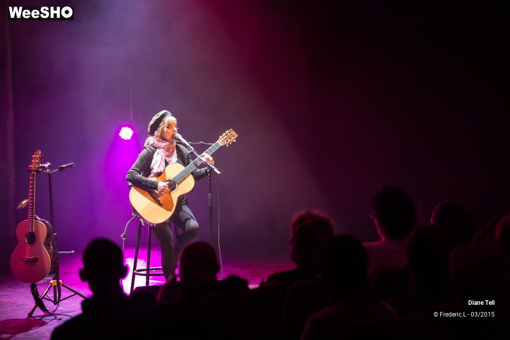 14/34 photos du spectacle Diane Tell