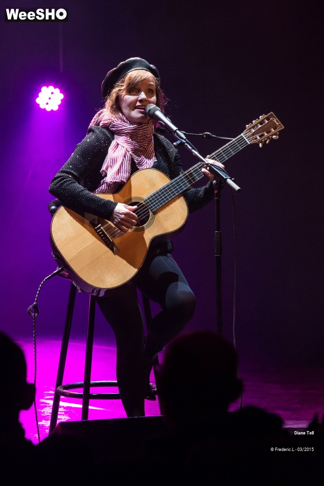 15/34 photos du spectacle Diane Tell