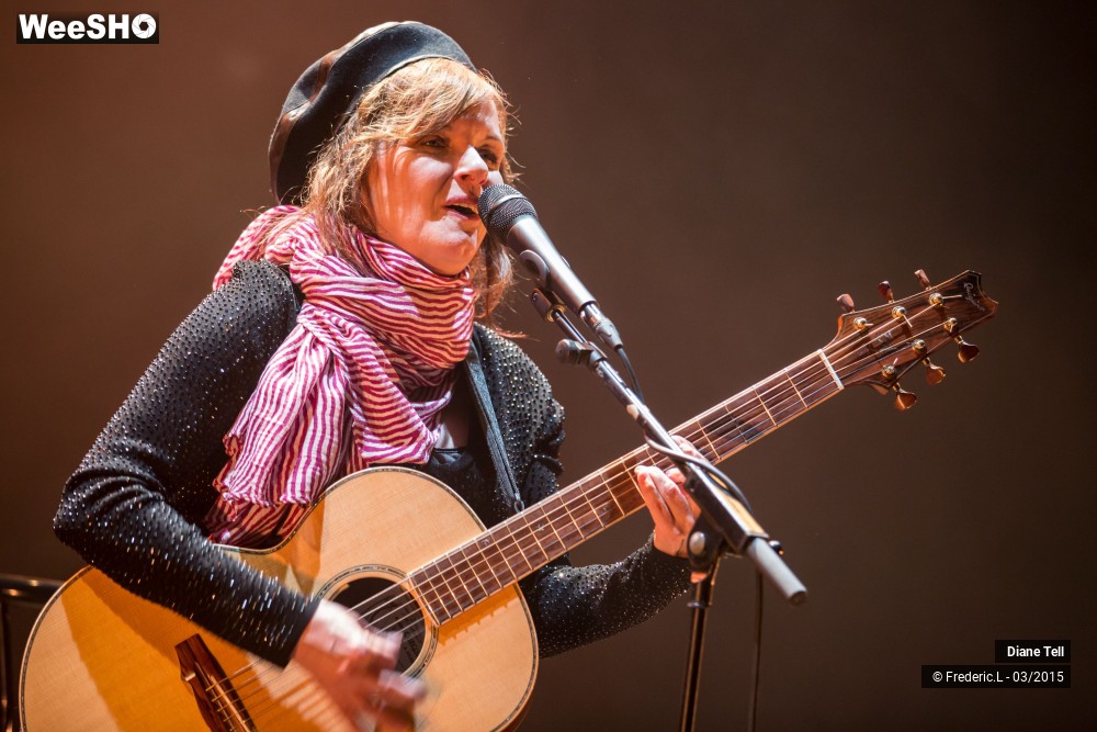 16/34 photos du spectacle Diane Tell