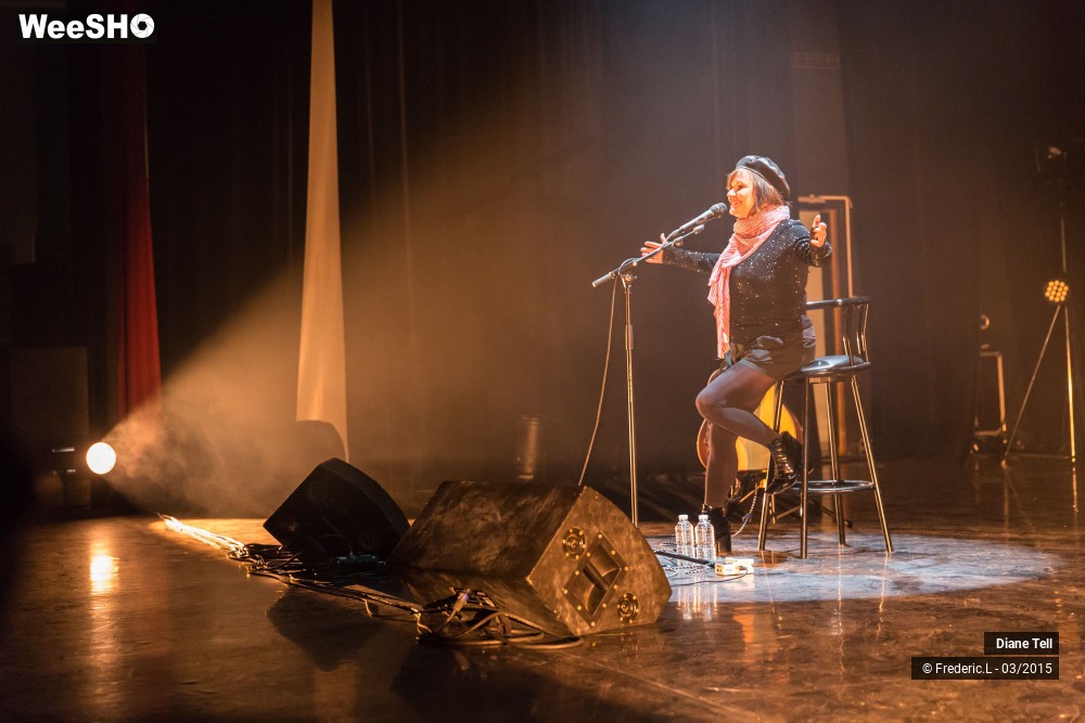 17/34 photos du spectacle Diane Tell