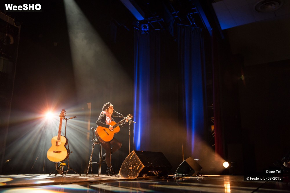 18/34 photos du spectacle Diane Tell