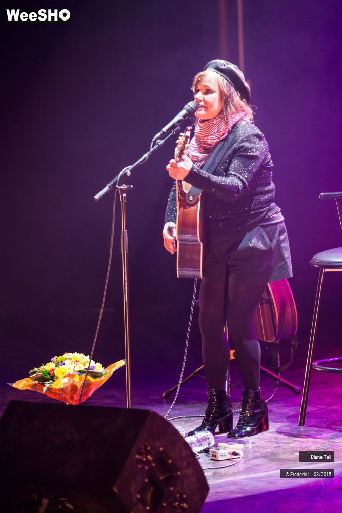 19/34 photos du spectacle Diane Tell