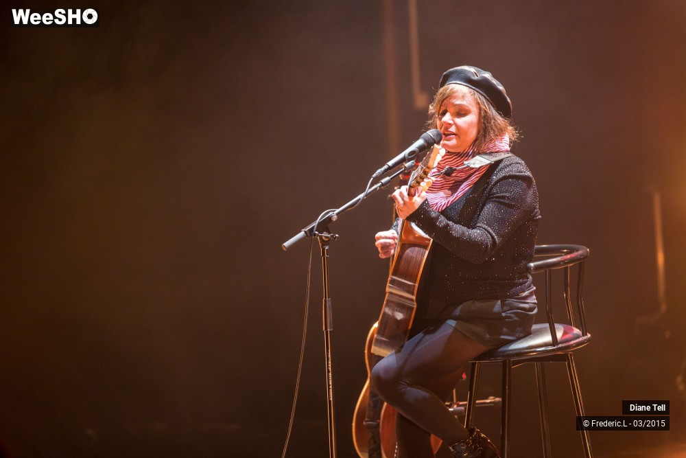 20/34 photos du spectacle Diane Tell