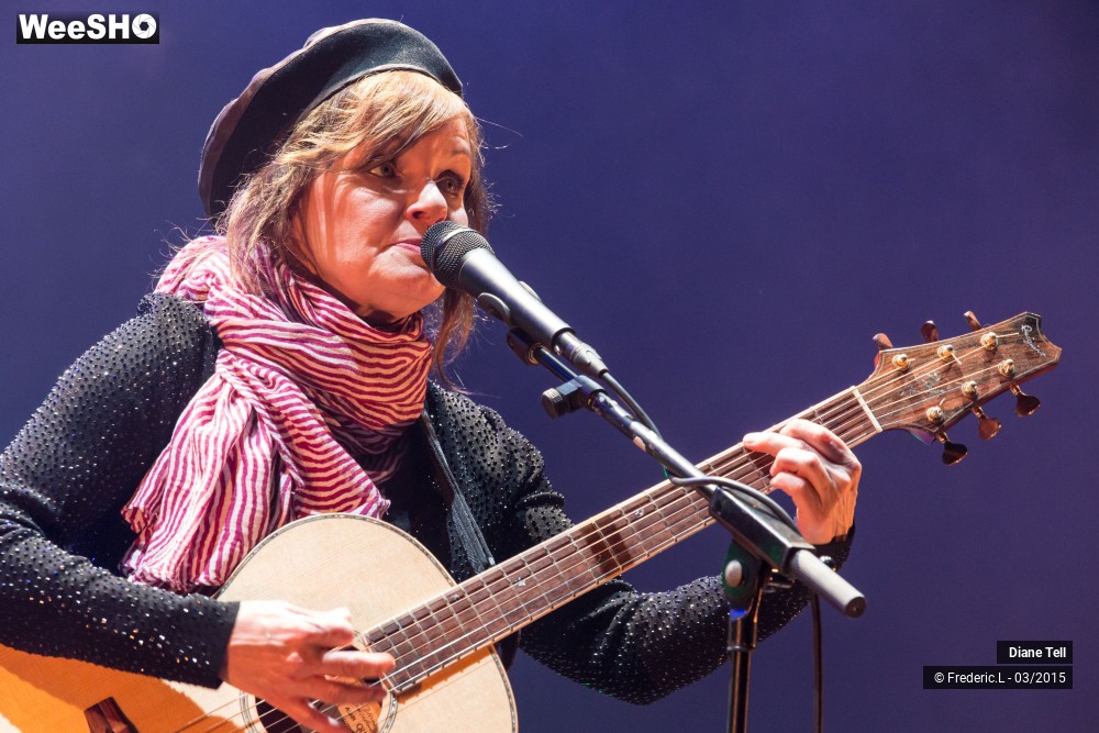 21/34 photos du spectacle Diane Tell